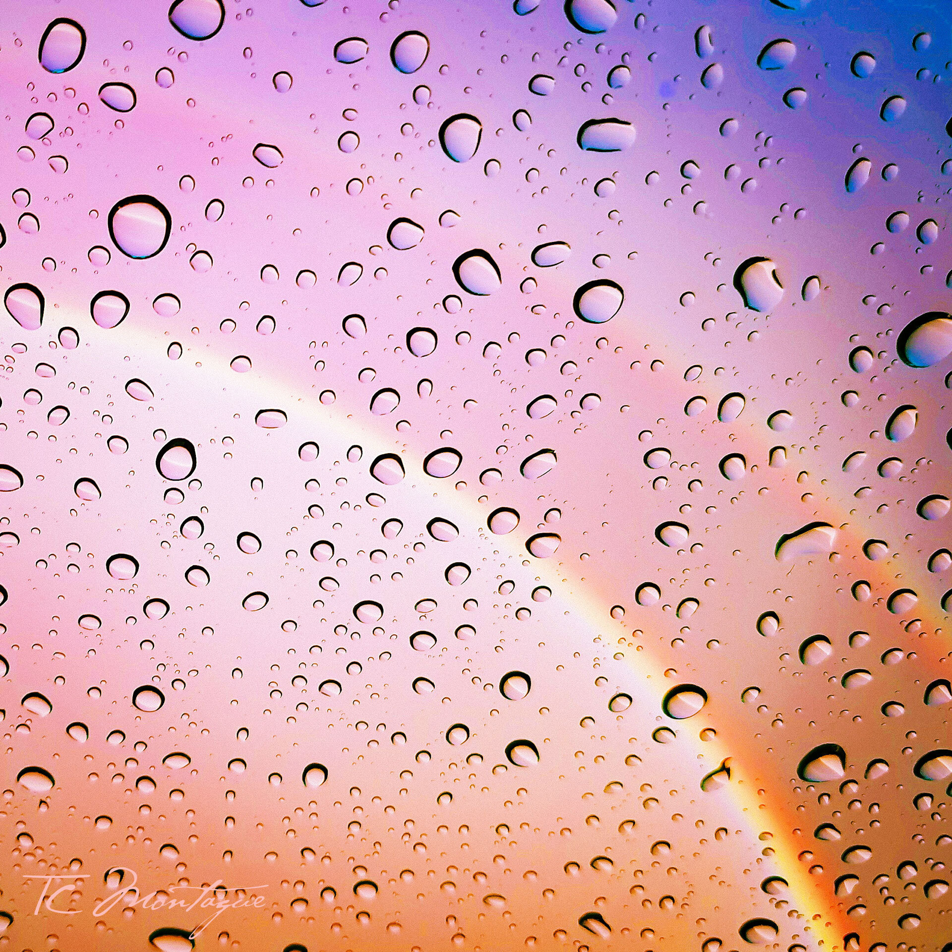 Rainy days and double rainbows - TC Montague